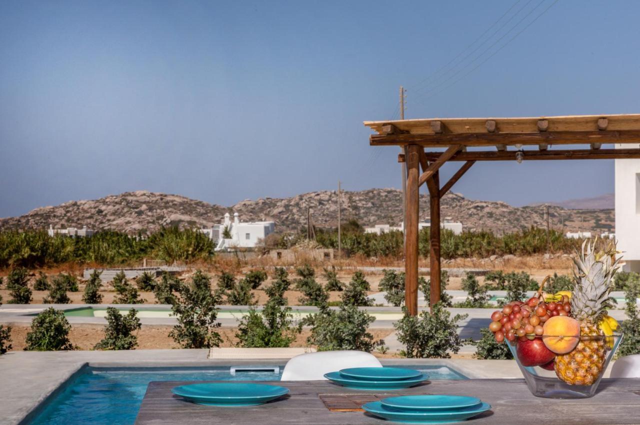 Bamboo Villa Naxos Микри-Вигла Экстерьер фото